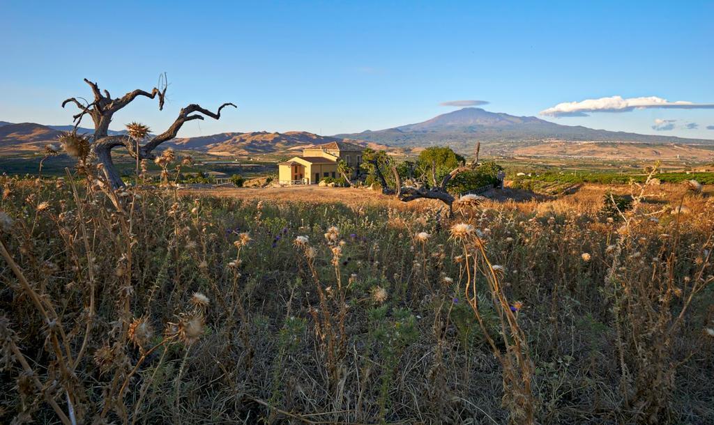 Agriturismo Conte Ruggero Villa Centuripe Екстериор снимка